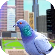 Pigeon Bird Simulator