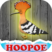 The Hoopoe Rescue From Cage