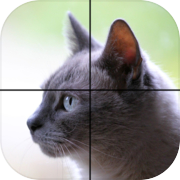 Adorable Cat Puzzles