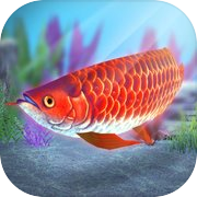 Play My Asian arowana Aquarium