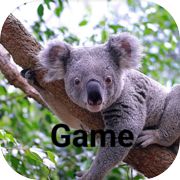 Koala Game-Adventure game