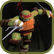 Turtle Jumper Ninja