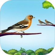 Bird Sort Puzzle Sort Games
