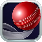 Spin Cricket