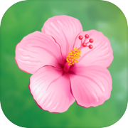 Play My Garden: Floral Mood