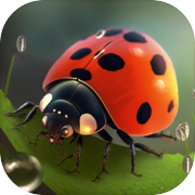 Play Insects Puzzles