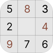 Sudoku Puzzle Brain Games