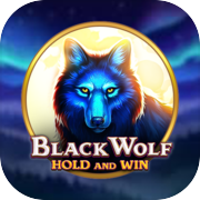 Play Black Wolf Night