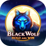 Black Wolf Night