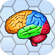 Play More Brain Exercise with Dr. Kawashima