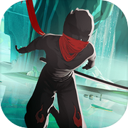 Ninja Knight:  Shadow Assasin