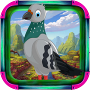 Play Cheerful Pigeon Escape