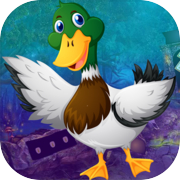 Play Best Escape Games 112 Mallard Duck Rescue Game