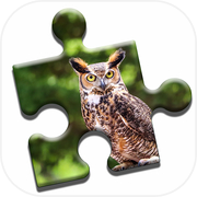 Play Owls of the World Puzzle