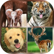 Play Animal Quiz