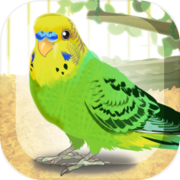 Play Parakeet Pet