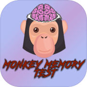 Monkey Memory Test