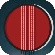 Play Mini cricket