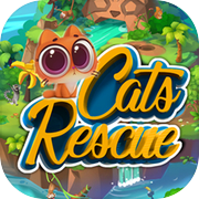 Cats Rescue