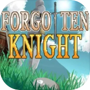 Forgotten Knight