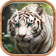 Lion Simulator Animal Clash