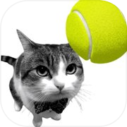 Cat Tennis - Meme Game