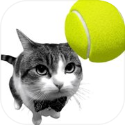 Play Cat Tennis - Meme Game