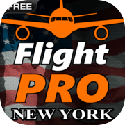 Play Pro Flight Simulator NY Free