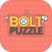 Bolt Puzzle
