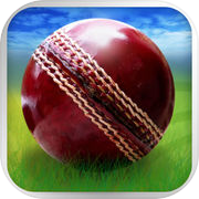 Play Cricket WorldCup Fever Deluxe