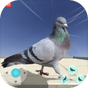 Hungry Pigeon Simulator Game