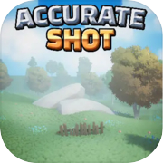 Play Accurate Shot