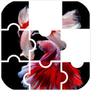 Betta Fish Game Puzzle Jigsaw