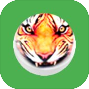 Play BaghChal - Tigers and Goats