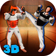 Play Taekwondo Sports Fighting Cup 3D