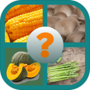 Vegetable Quizzes