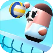 Play Head Volleyball 3D - Champions