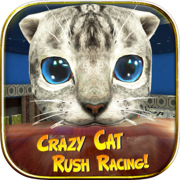 Play Crazy Cat Rush Racing