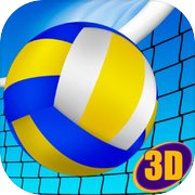 Play Beach Volleyball 3D