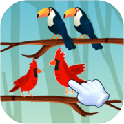 Bird Sorting - Puzzle Game