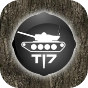 T17