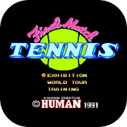 Final Match Tennis PCE