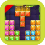 Block Puzzles - Brick Game
