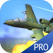 Strike Fighters Attack (Pro)