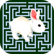 Maze Escape: Rabbit Runner