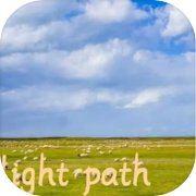 light path