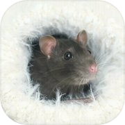 Play LittleBuddy mouse game