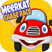 Meerkat Car Crash