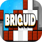 Briquid