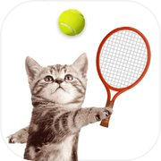 Cat Meow: Sport Battle